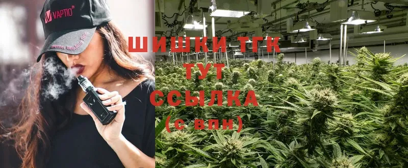 Конопля SATIVA & INDICA  купить закладку  Ветлуга 